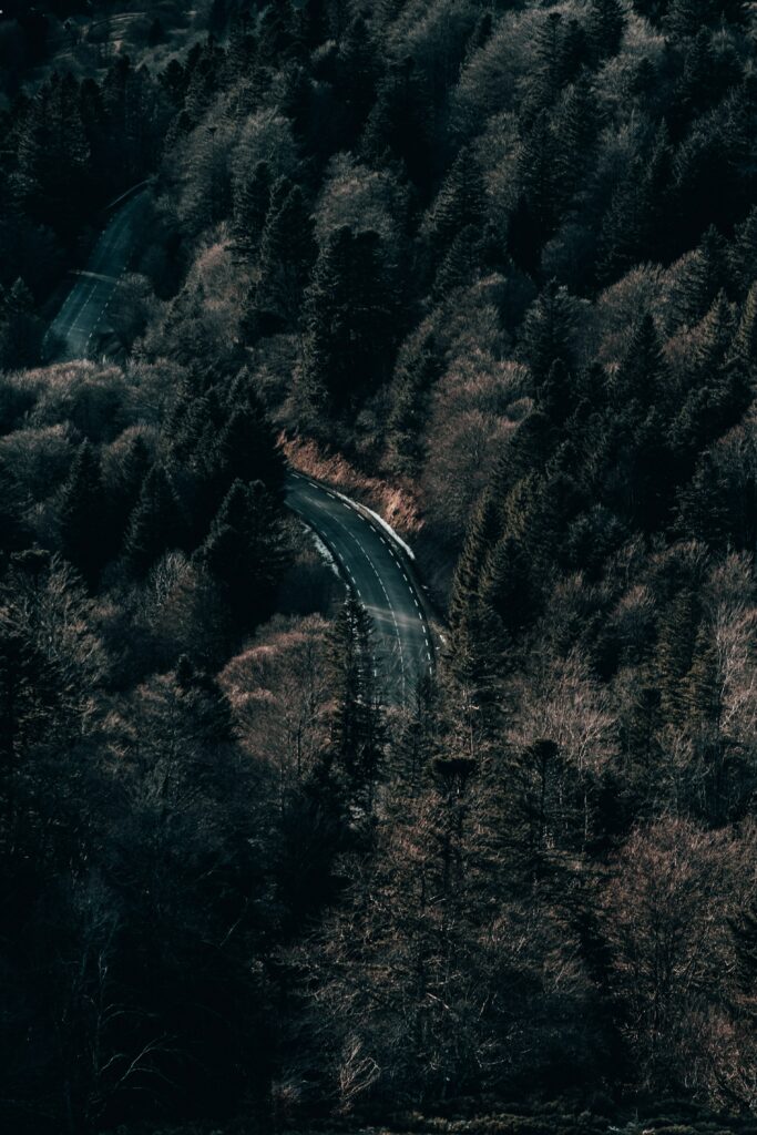 Aerial view of winding road through dense forest with earthy tones and moody shadows wallpaper