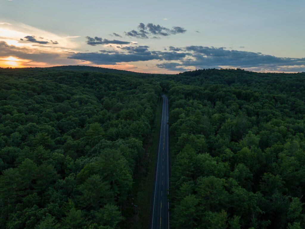 Aerial view of winding road through green forest at sunset with golden blue sky wallpaper background