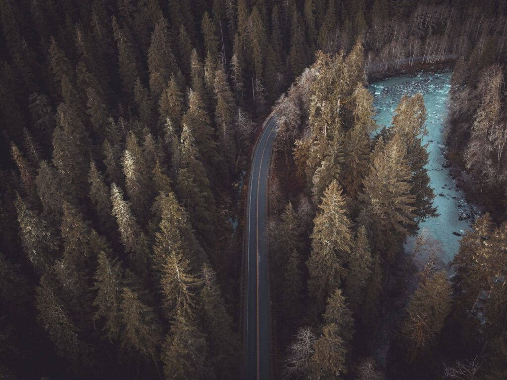 Aerial view of winding road through dense pine forest with river showing wilderness tranquility Wallpaper