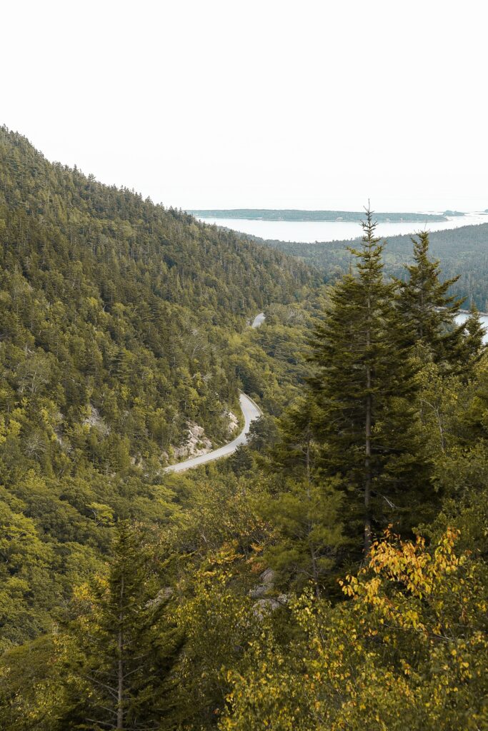 Winding mountain road through lush green forest with distant blue waters under bright sky Wallpaper