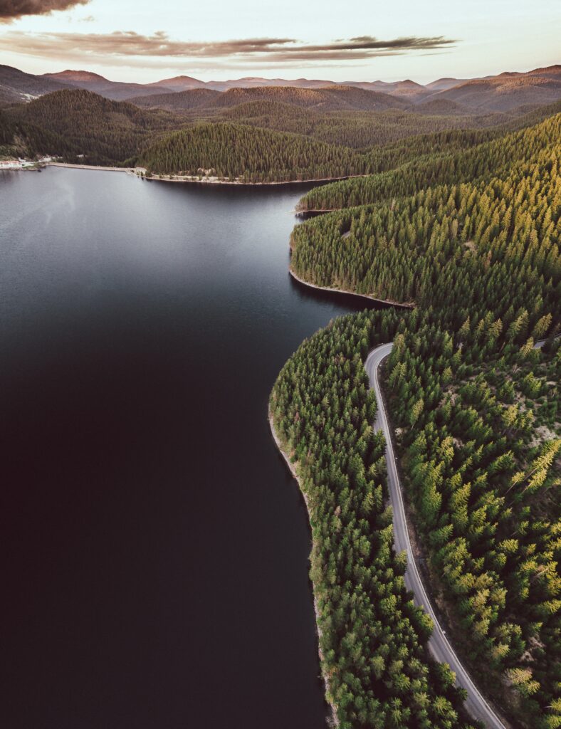 Aerial view of winding road along lush green lake shore surrounded by dense forest and hills Wallpaper