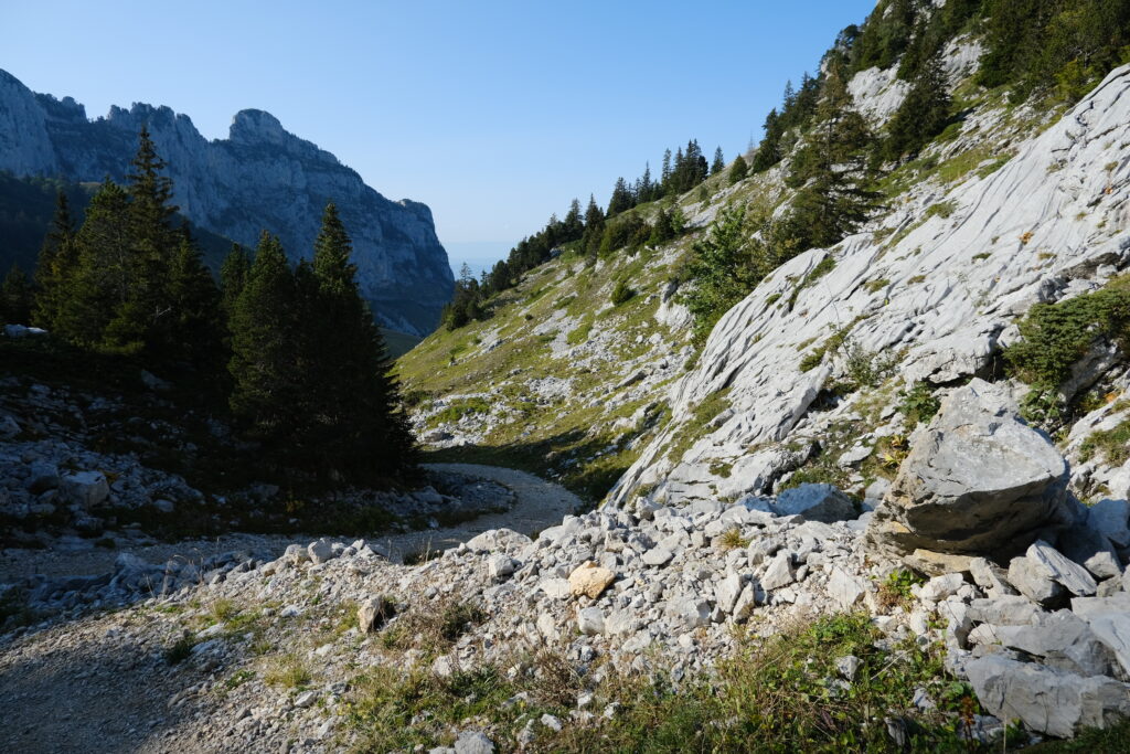 Winding mountain road with rugged rocks lush evergreens and clear blue sky landscape wallpaper