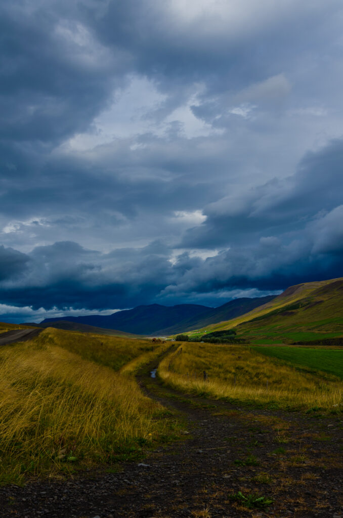 Winding path through golden fields under dramatic clouds with green hills and distant mountains Wallpaper