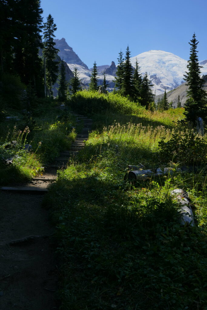 Winding forest path through green grass and tall trees with mountains and clear blue sky background Wallpaper