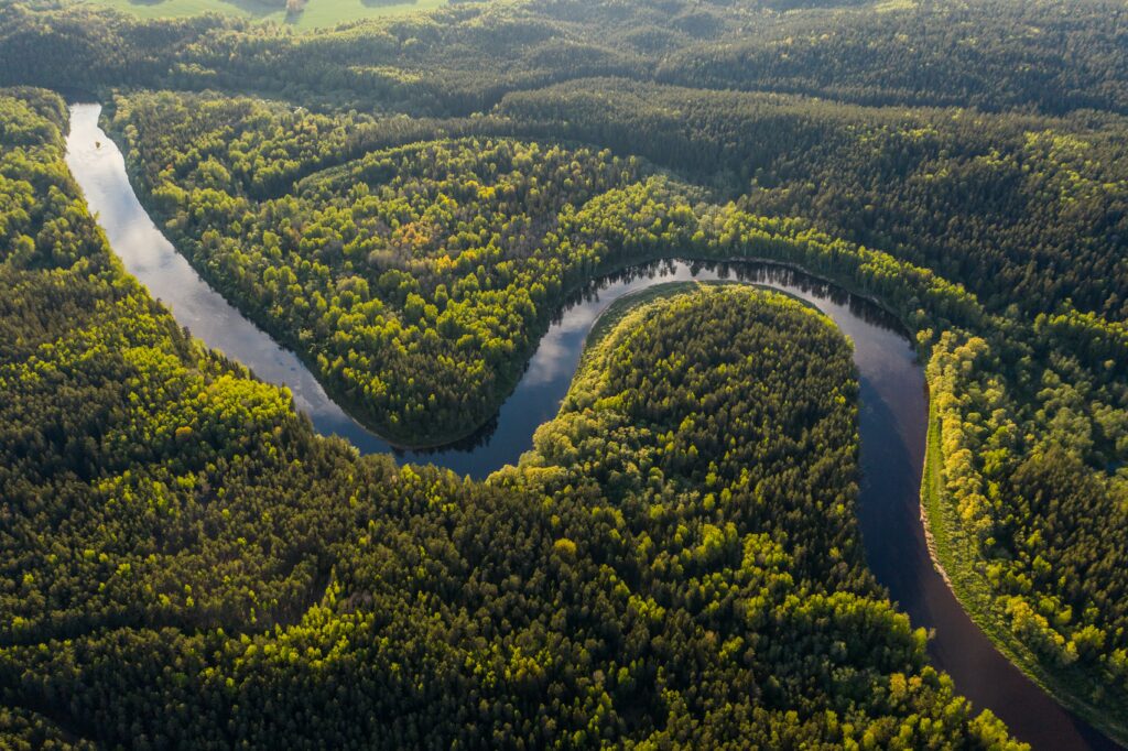 Aerial view of winding river through dense vibrant green forest with lush canopy wallpaper background