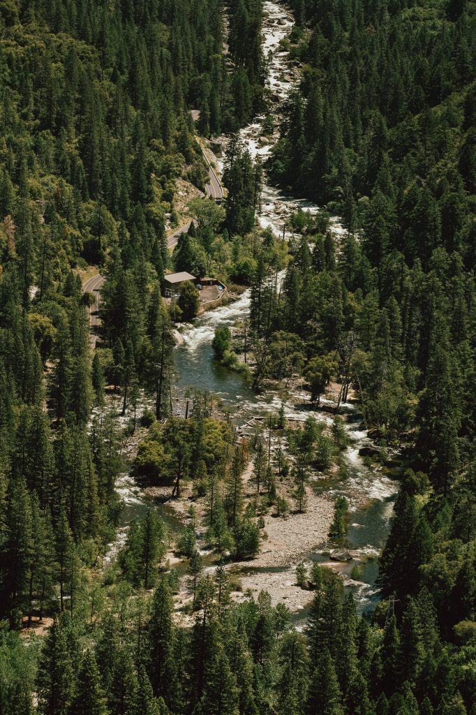 High-angle view of winding river through dense mountain forest lush greenery wallpaper background