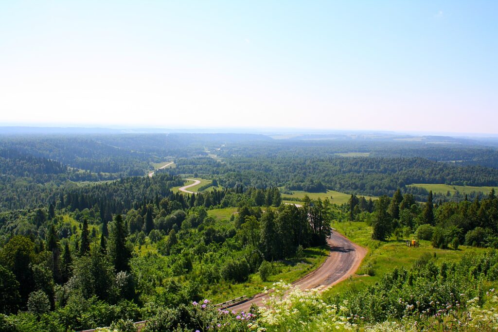 Aerial view of winding road through lush green forest under bright blue sky panoramic landscape wallpaper