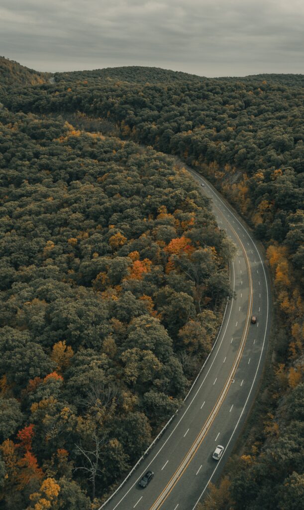 Winding road through dense autumn forest with golden leaves and cars under cloudy sky wallpaper