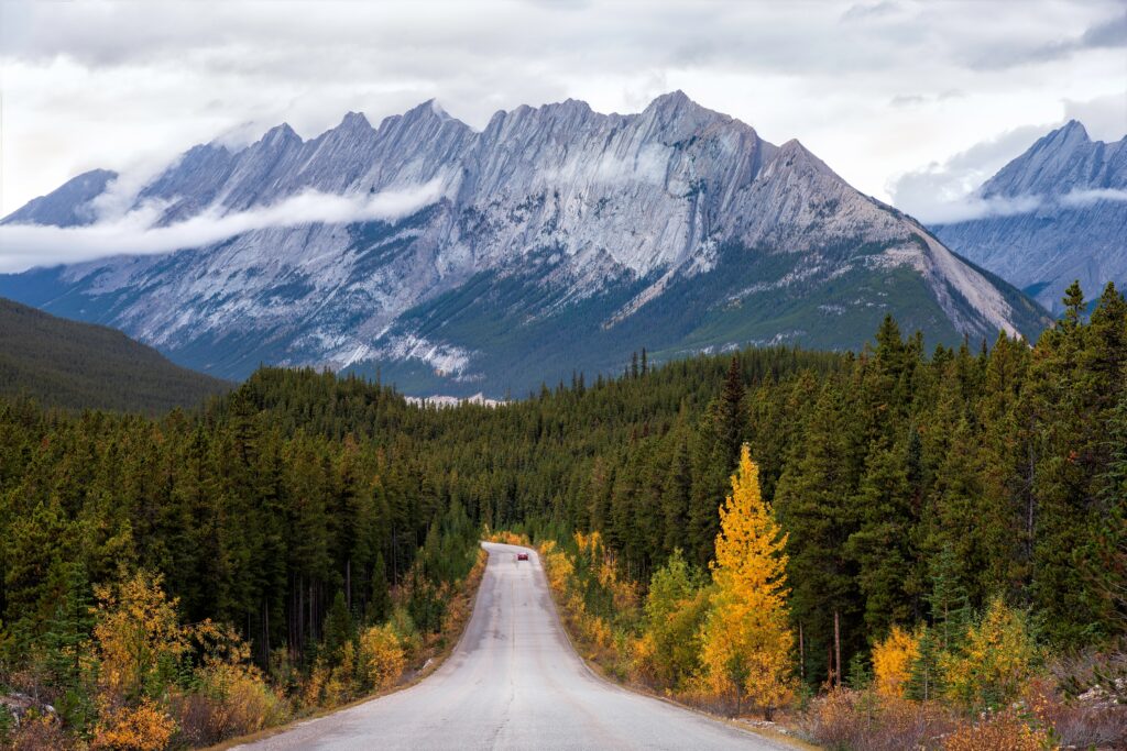 Winding road through autumn forest with rugged mountains under cloudy sky scenic wallpaper background