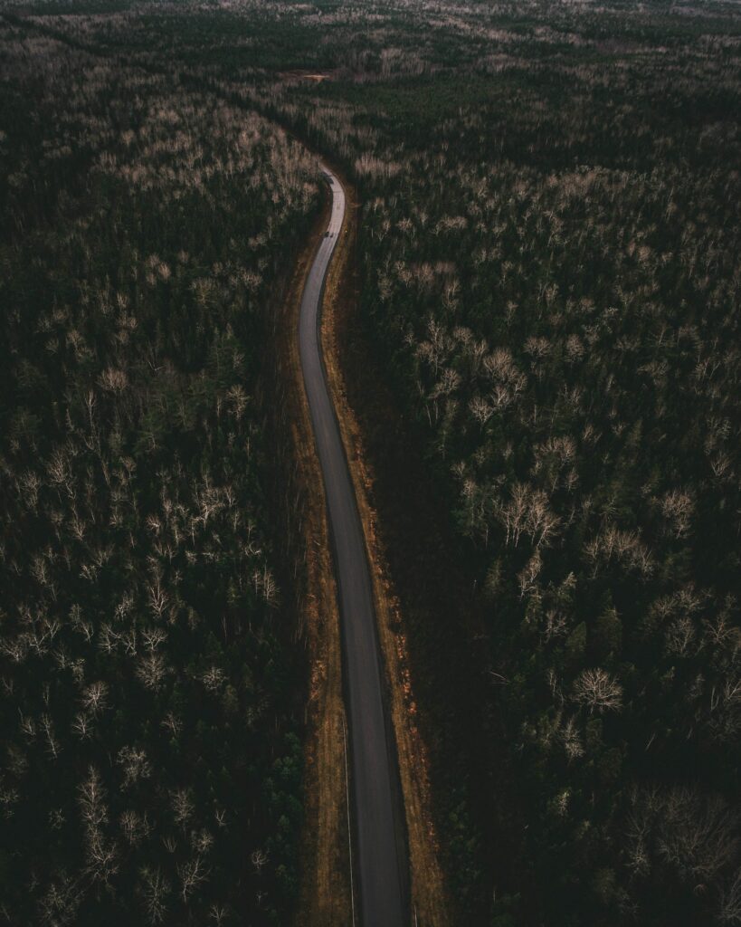 Aerial view of winding forest road with dark green trees moody nature adventure wallpaper background