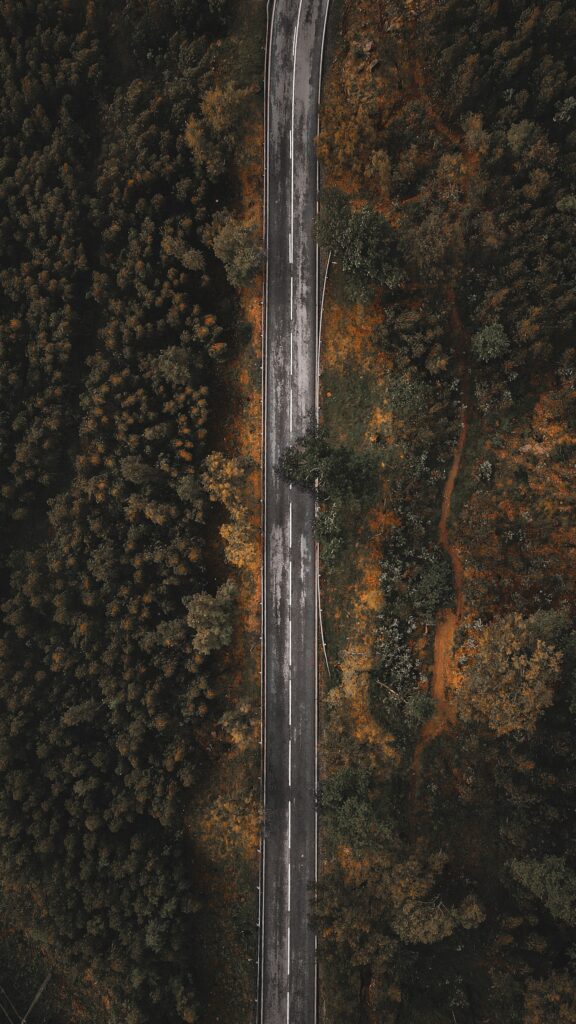 Aerial view of winding road through dense forest with dark green trees and smooth grey asphalt Wallpaper