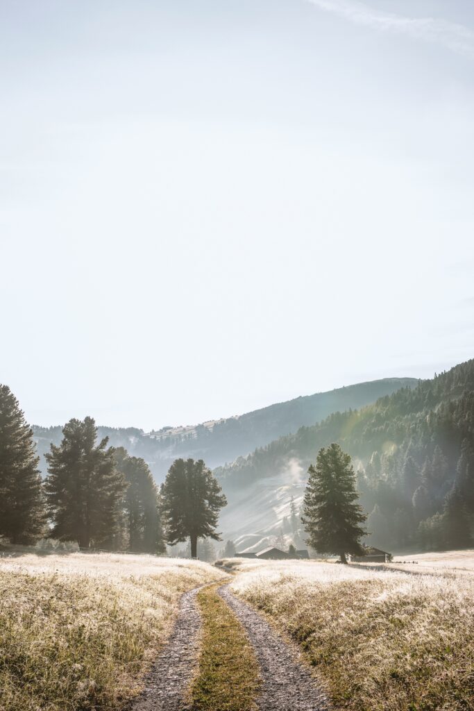 Winding road through golden fields and foggy trees with rolling mountains peaceful wallpaper