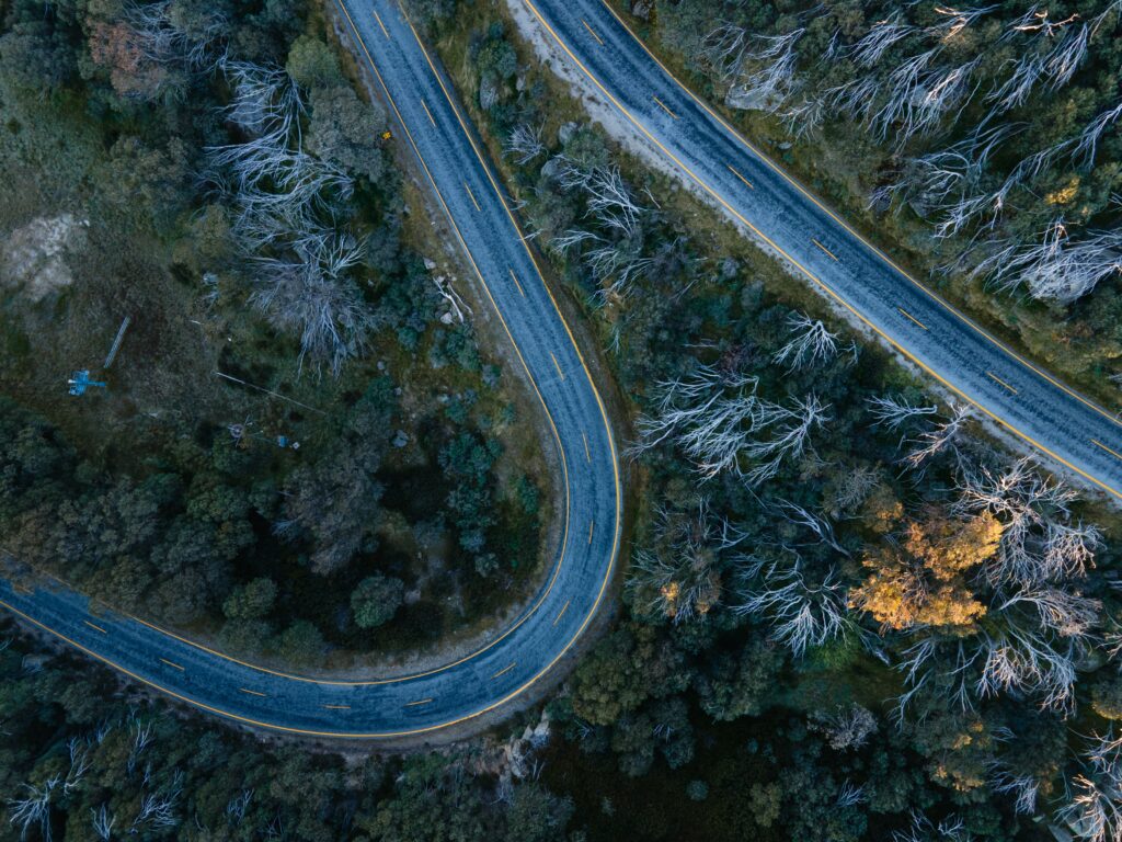 Aerial view of winding road through dense lush green forest with earthy natural tones wallpaper background