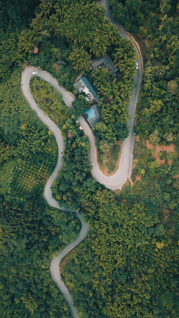 Aerial view of winding road through lush dense forest with vibrant green trees and natural textures Wallpaper
