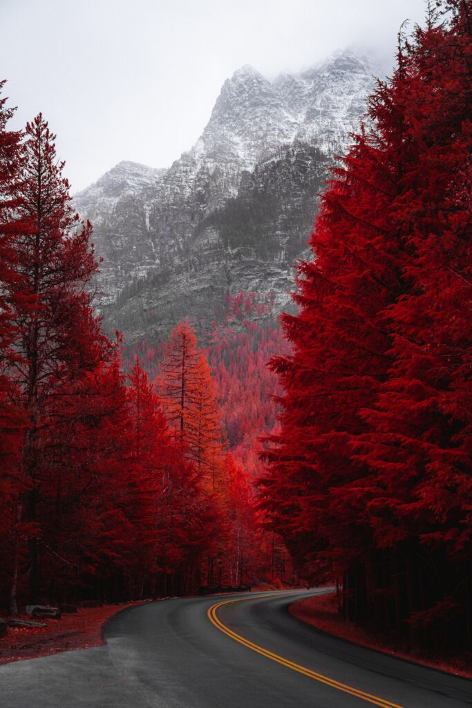 Winding road through red autumn forest leading to misty snow capped mountains scenic landscape Wallpaper