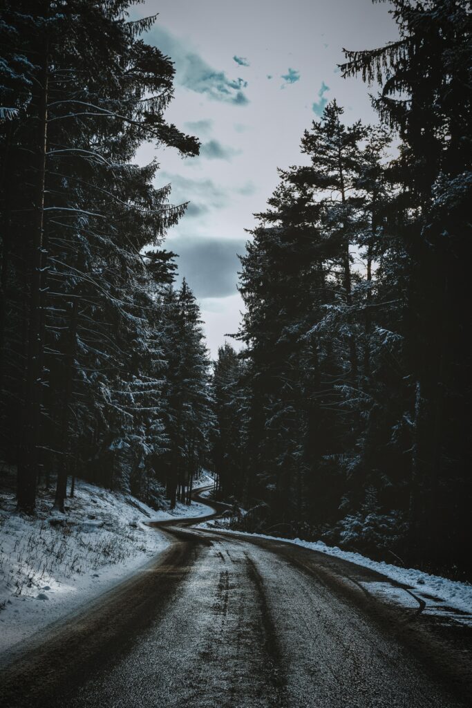 Winding snowy road through dense pine forest winter landscape serene moody wallpaper background