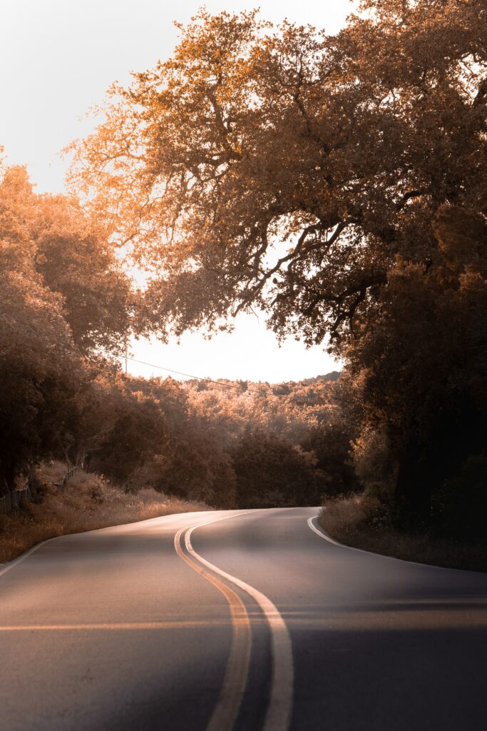 Winding road with yellow lines through lush trees in golden sunlight serene nature travel wallpaper