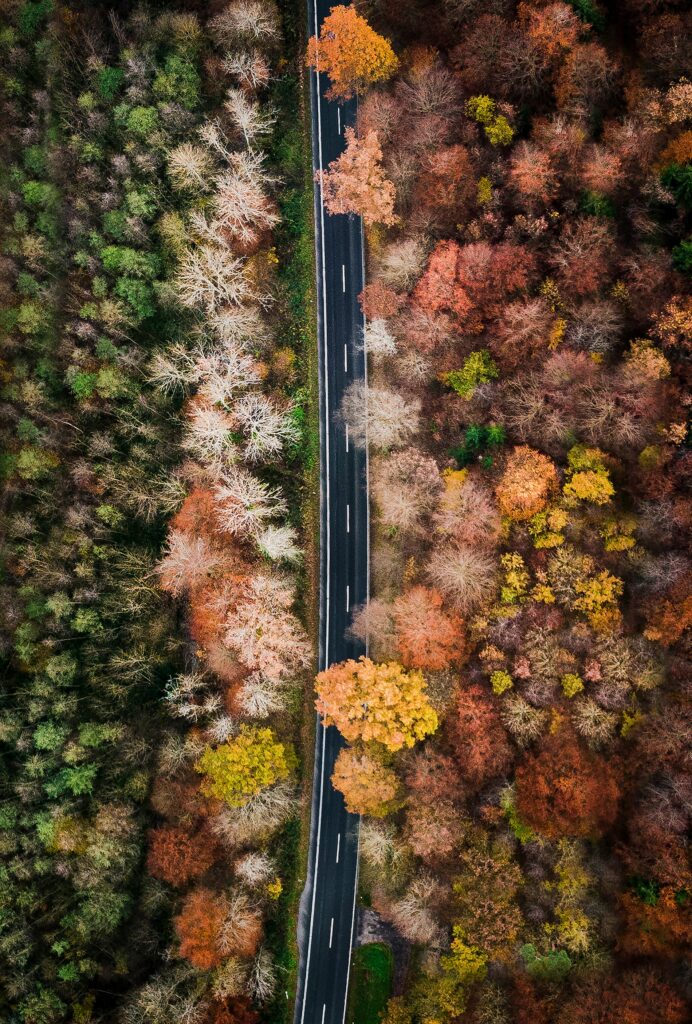 Aerial view of winding road through vibrant autumn forest with orange red and green treetops Wallpaper