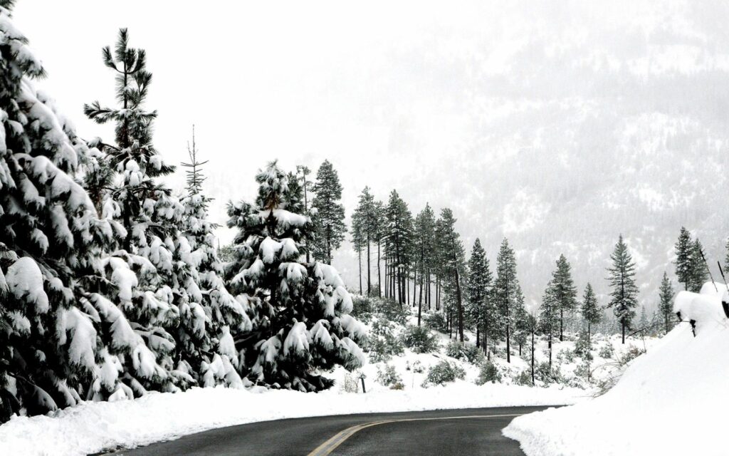 Winding asphalt road with snowy pine trees under overcast sky peaceful winter landscape wallpaper