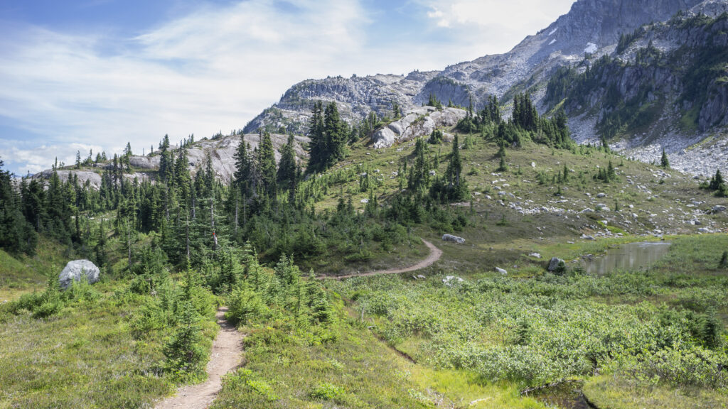 Winding forest trail through lush greenery leading to rugged mountain peaks under blue sky Wallpaper