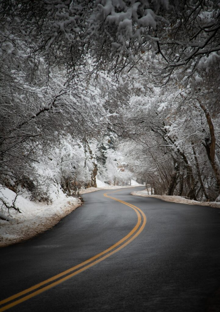 Winding asphalt road through snow-covered trees in a peaceful winter forest landscape wallpaper