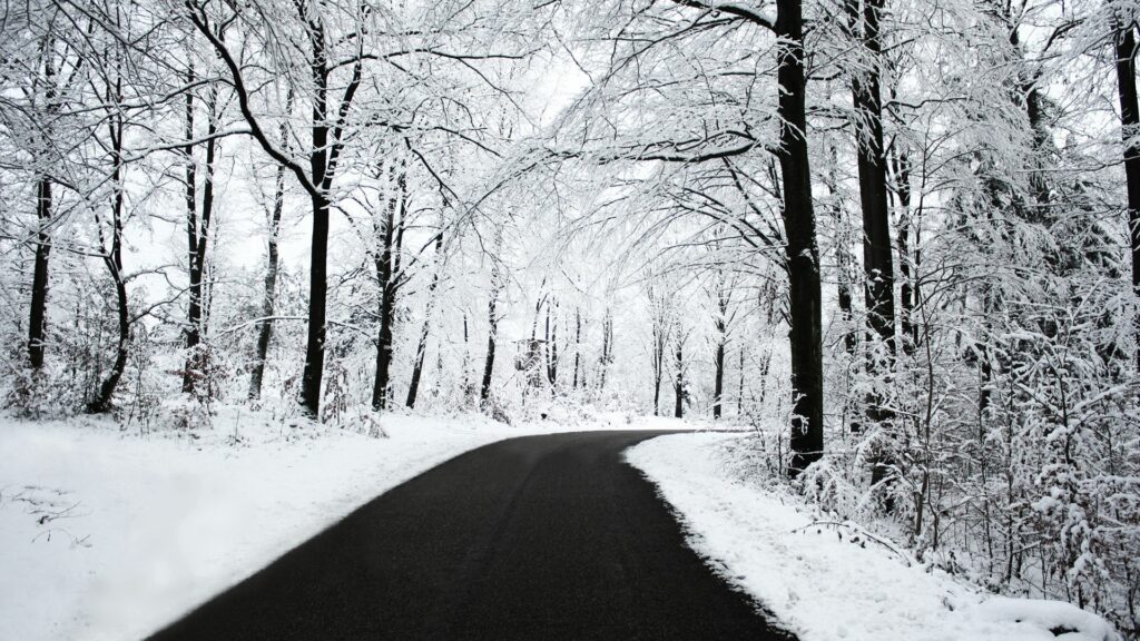 Winding asphalt road through snow-covered winter forest with bare tree branches minimalist scene Wallpaper