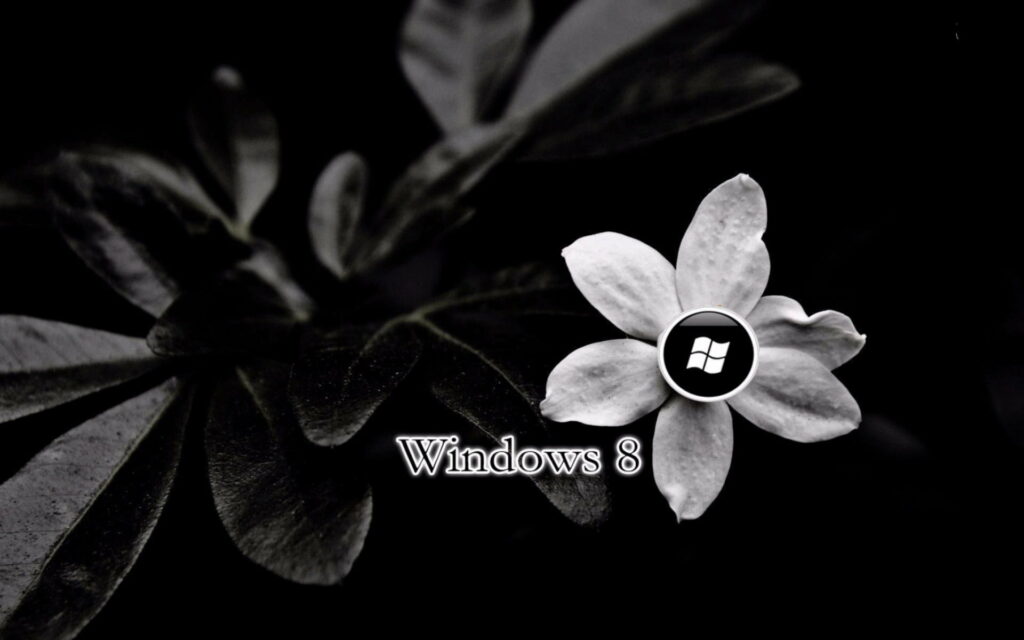 Immersing in Technological Joy: Windows 8's Fun-Filled HD Wallpaper Background Photo by Microsoft