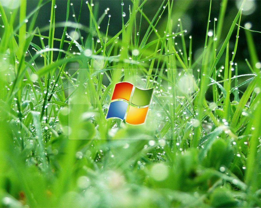 Windows Vista wallpaper with vibrant green dew-covered grass blades and centered colorful logo