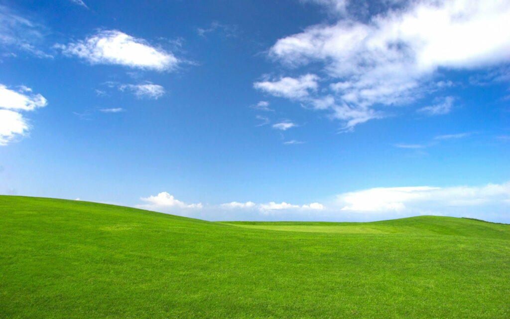 Windows XP Harmony: The Majestic Essence of a Vast Open Field Wallpaper