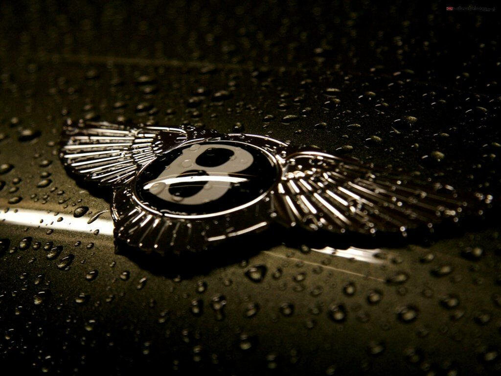 Bentley Logo Soaring Amidst Raindrops Wallpaper