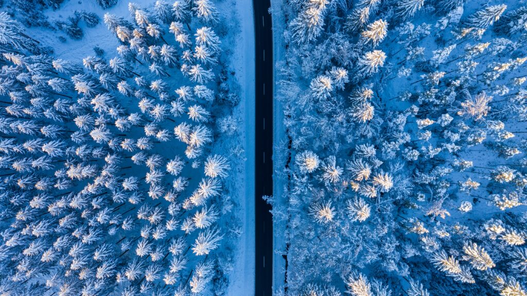 Aerial view of straight road through snow-covered pine forest winter landscape background Wallpaper