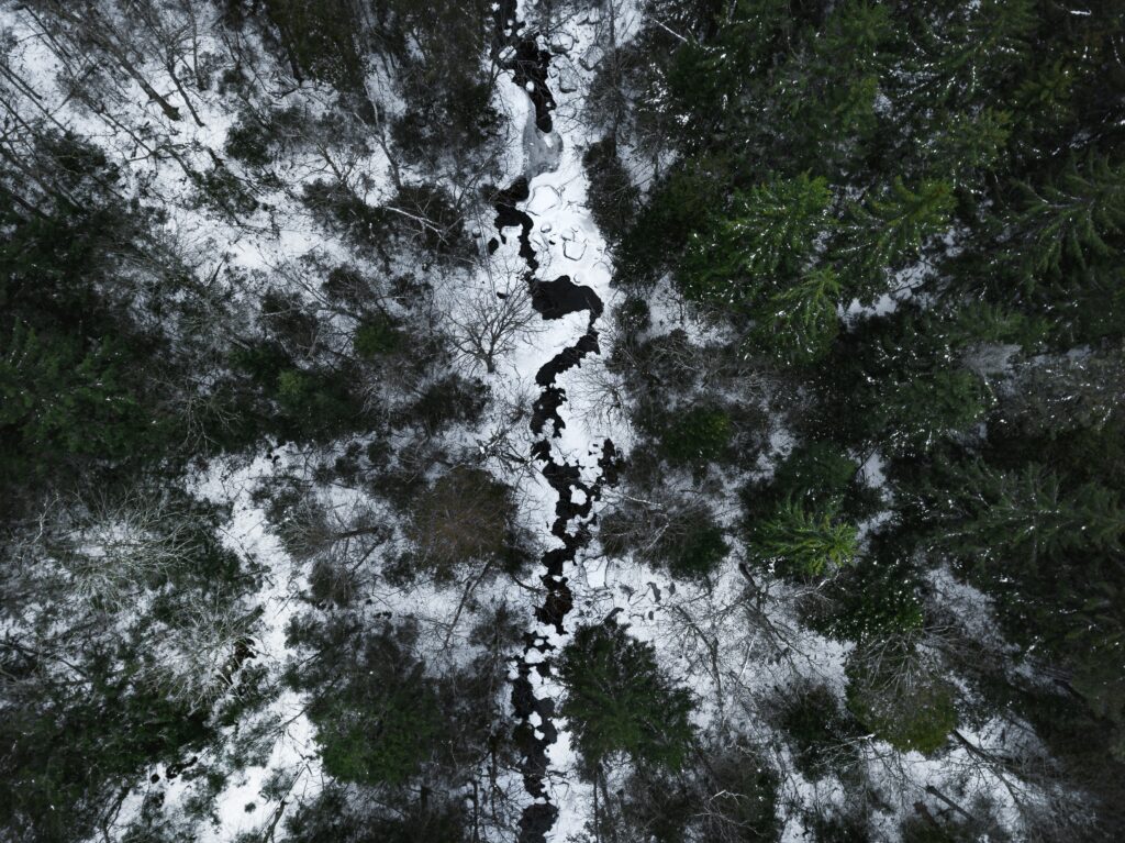 Aerial view of winding river through snowy forest with green pine trees winter landscape wallpaper