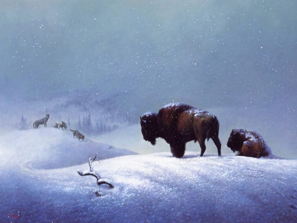 Two buffaloes rest on snowy hill under starry sky with distant wolves in serene winter landscape Wallpaper