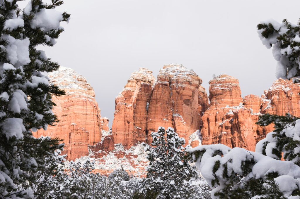 Winter canyon landscape with snow-covered red rocks and pine trees scenic wallpaper background