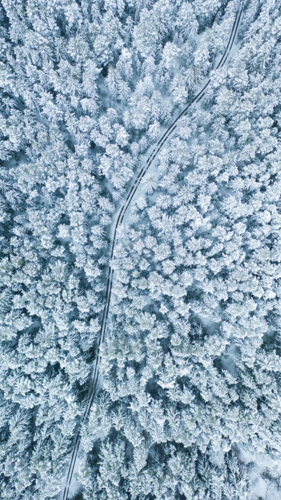 Aerial view of snow-covered winter forest with winding road serene cold landscape wallpaper background