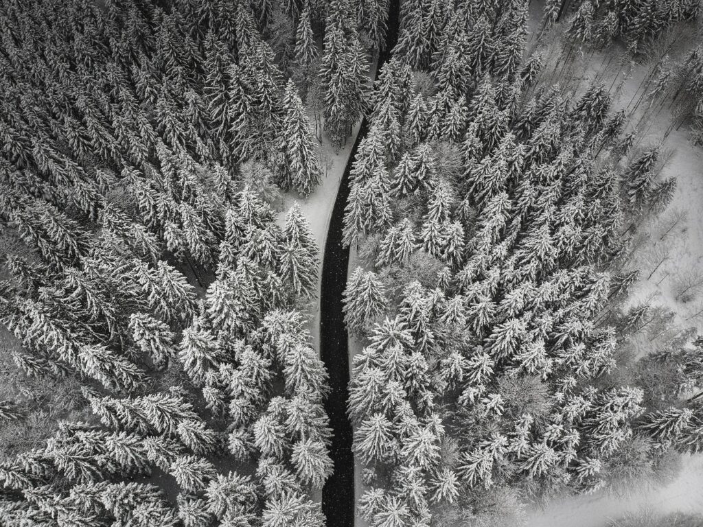 Aerial view of snow-covered forest with winding dark road in serene winter landscape wallpaper