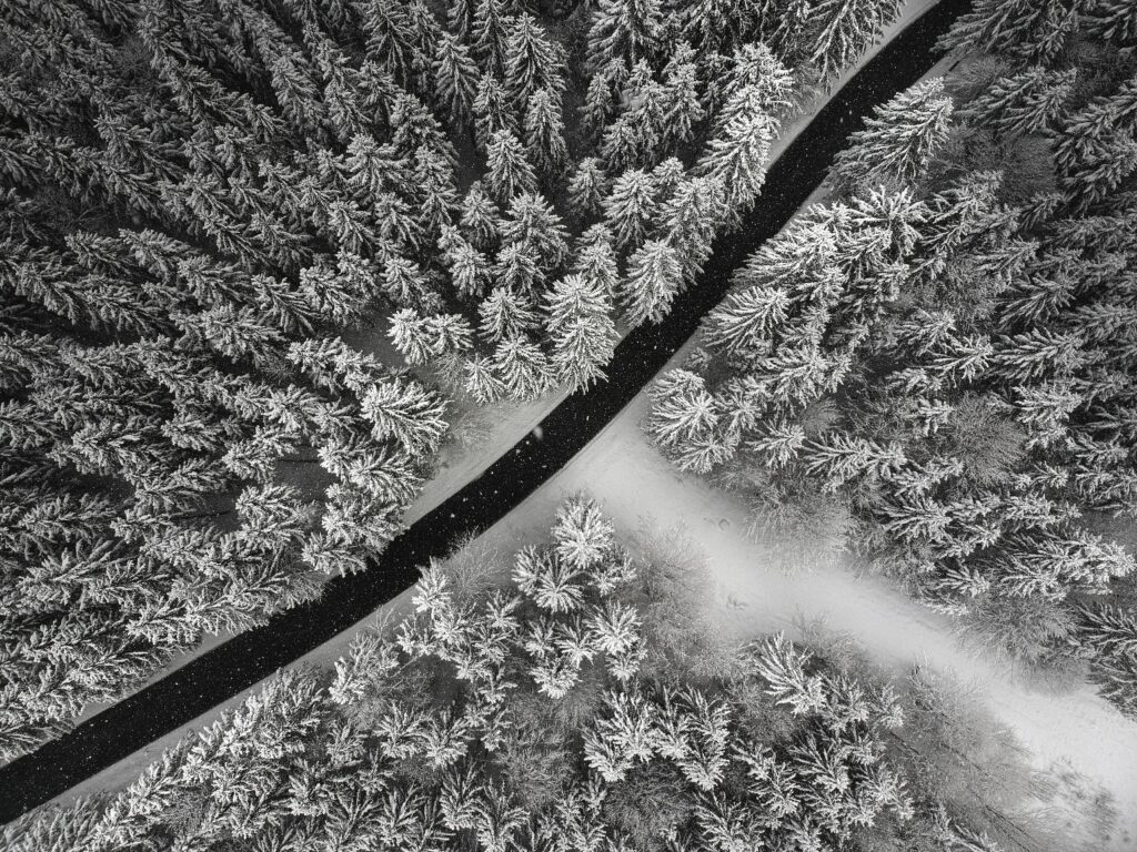 Aerial view of snow-covered winter forest with winding dark road creating serene contrast Wallpaper