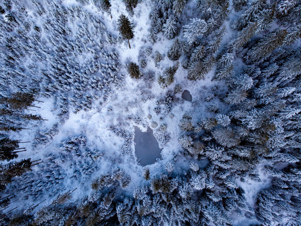Aerial view of a serene icy blue pond surrounded by snow-covered trees in a winter forest Wallpaper
