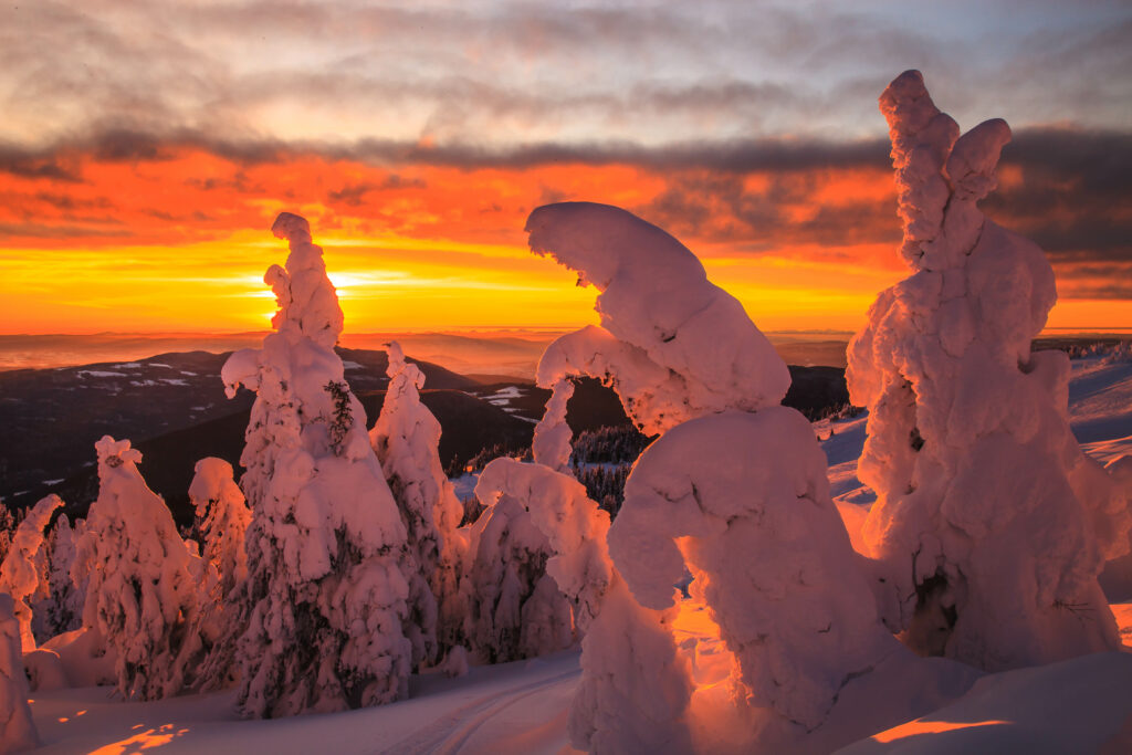 Winter landscape with snow-covered trees glowing under a warm orange sunset sky wallpaper