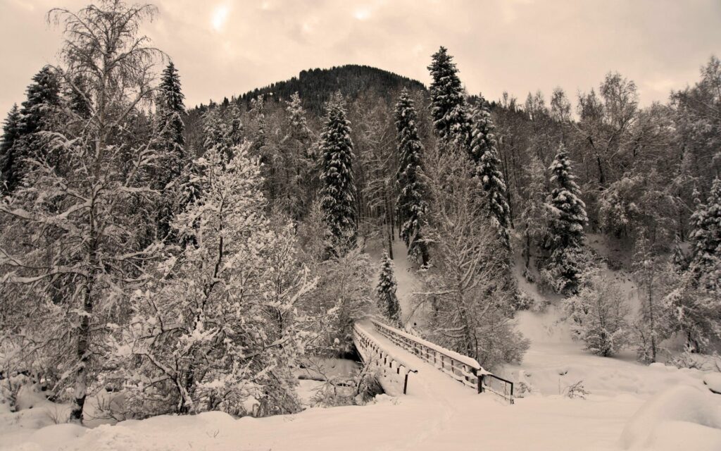Snowy winter forest with hoarfrost trees and wooden bridge over frozen stream under gray sky Wallpaper