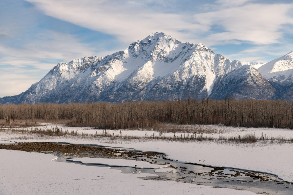 Snow-covered mountain range over frosty leafless forest with winding river in winter landscape Wallpaper