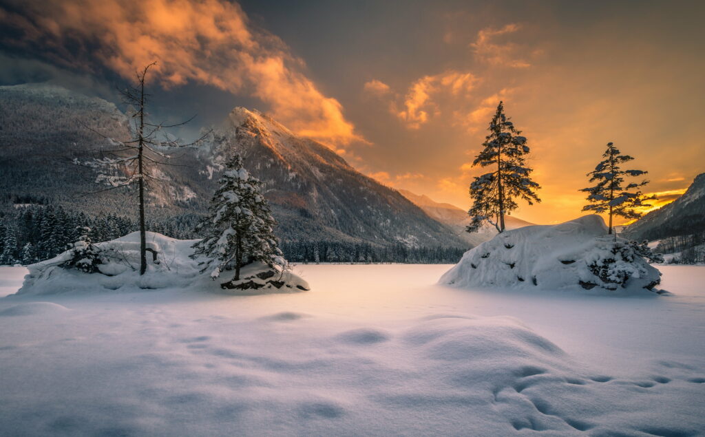 Golden Sunset in Winter Wonderland: A Nature Ultra Wallpaper Background Photo