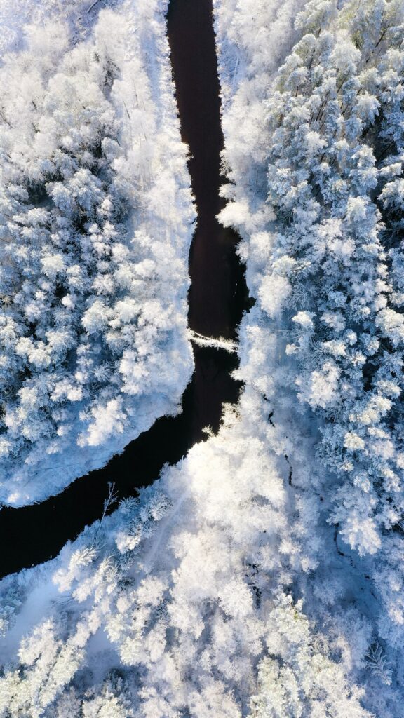 Aerial view of winding river through snow-covered trees in a serene winter landscape wallpaper
