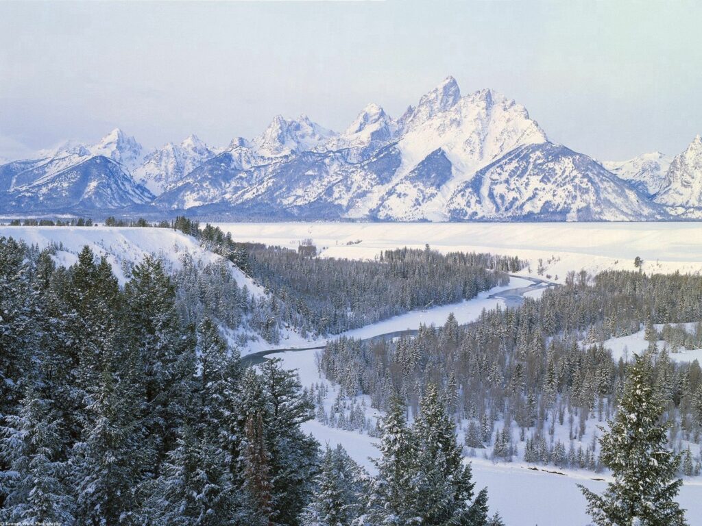 Snowy winter landscape with winding river dense fir trees and mountains under pale sky wallpaper