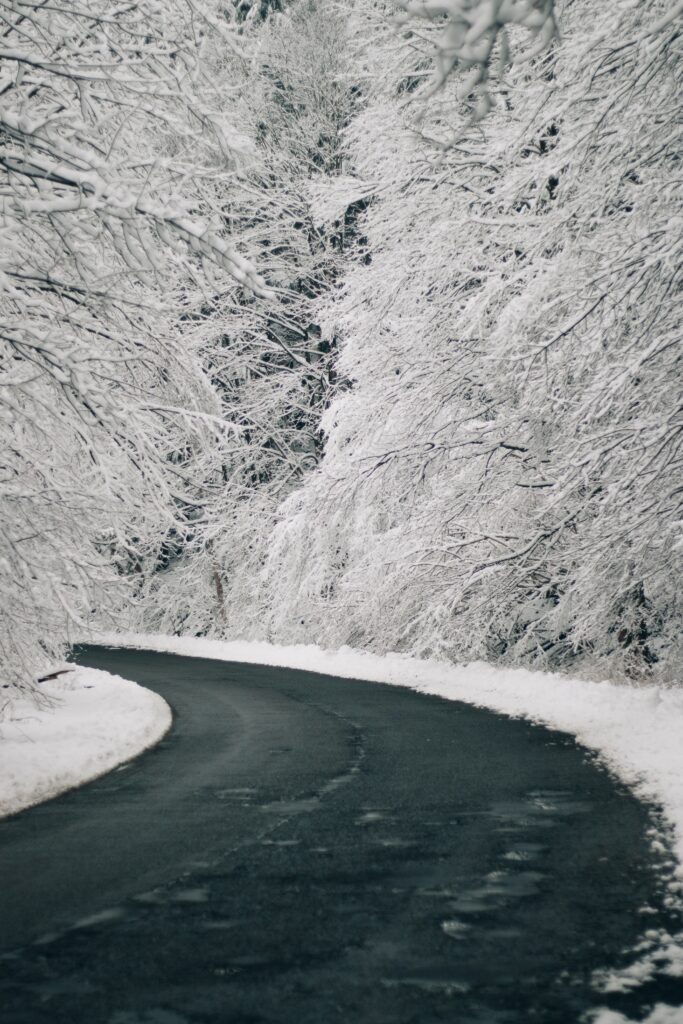 Winding road through snowy forest with dense snow-covered trees and gray asphalt winter landscape Wallpaper