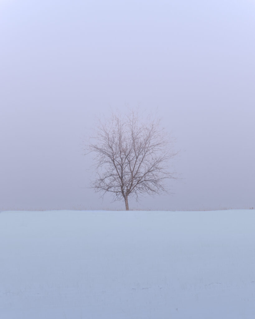 Solitary tree in snow-covered field under muted sky minimalist winter landscape wallpaper background