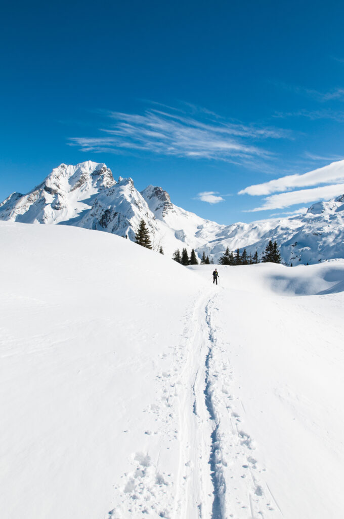 Skier gliding on snow path in alpine mountains under clear blue sky with pine trees winter scene Wallpaper