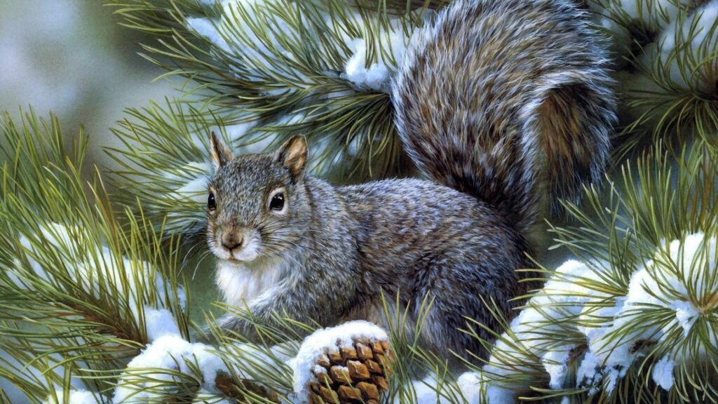 Serene Snowy Squirrel Wallpaper on Spruce Tree - 1920x1080