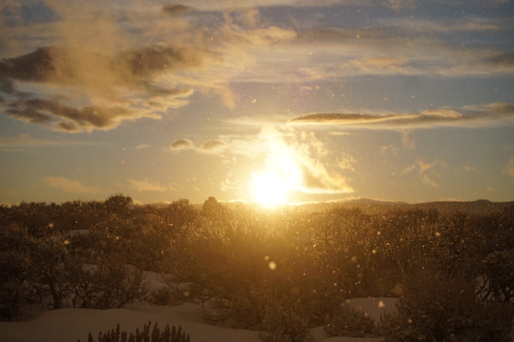 Winter sunset breaks through snowy blizzard illuminating frosty trees with warm amber light wallpaper