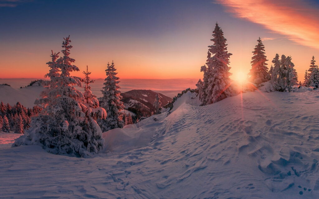 Frosty Forest Retreat: A Winter Mountain Landscape at Sunset as a HD Wallpaper Background Photo